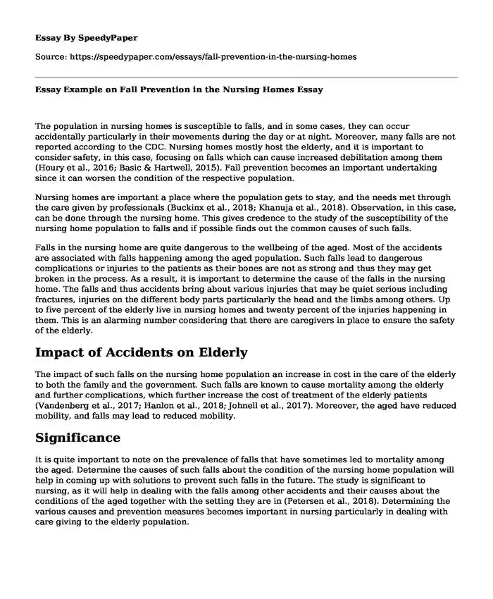 Essay Example on Fall Prevention in the Nursing Homes