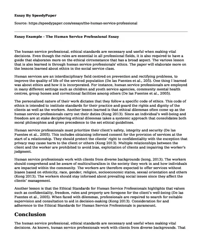 Essay Example - The Human Service Professional