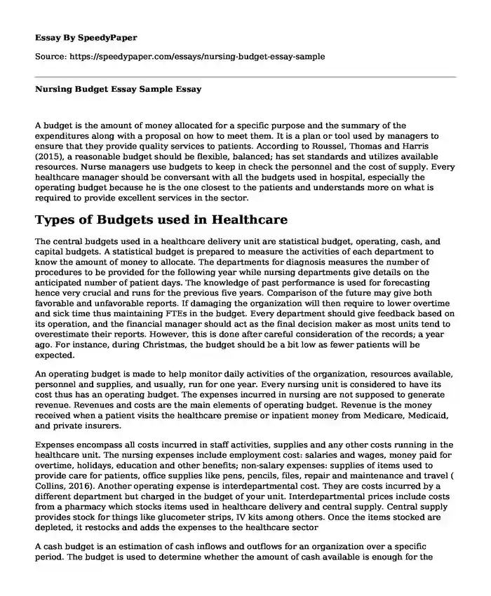 Nursing Budget Essay Sample