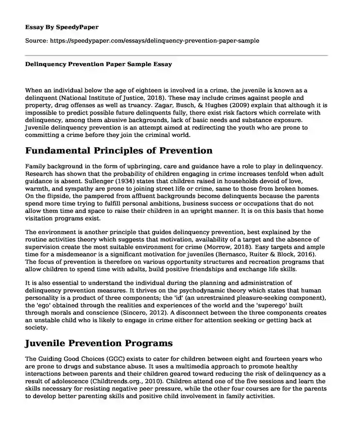 Delinquency Prevention Paper Sample