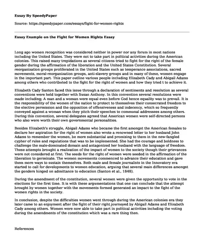 Essay Example on the Fight for Women Rights