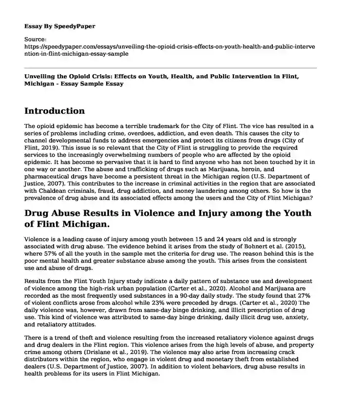 Unveiling the Opioid Crisis: Effects on Youth, Health, and Public Intervention in Flint, Michigan - Essay Sample