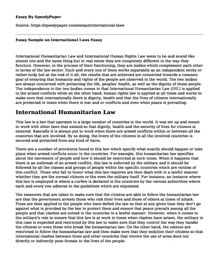 Essay Sample on International Laws