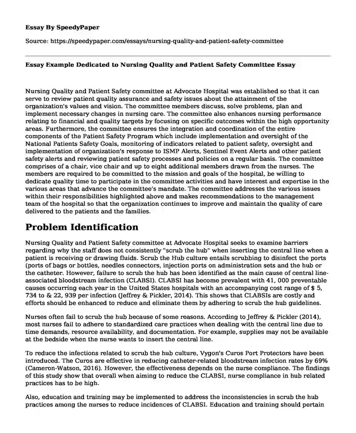 Essay Example Dedicated to Nursing Quality and Patient Safety Committee