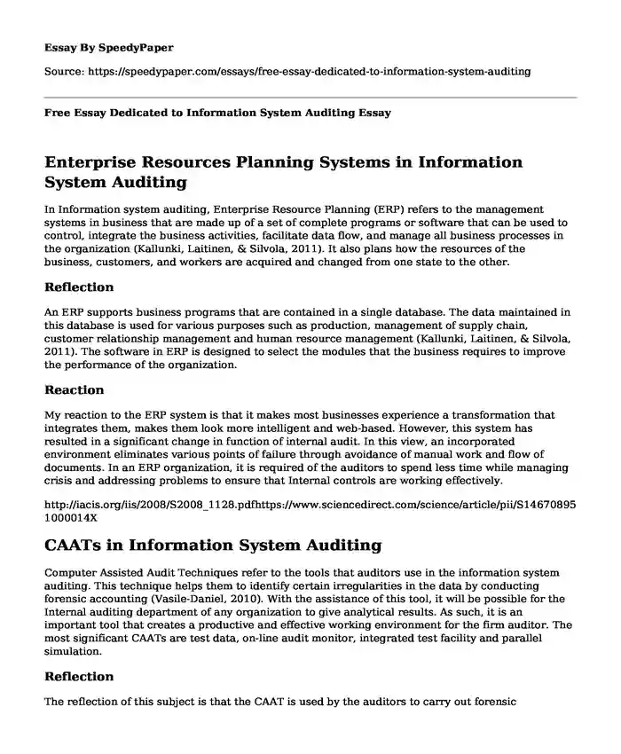 Free Essay Dedicated to Information System Auditing