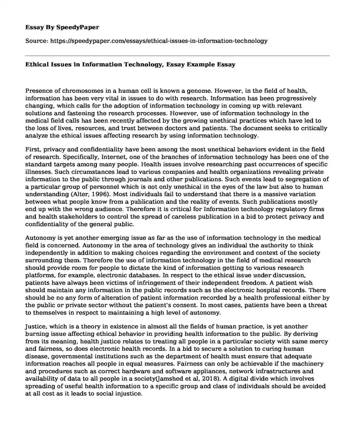Ethical Issues in Information Technology, Essay Example