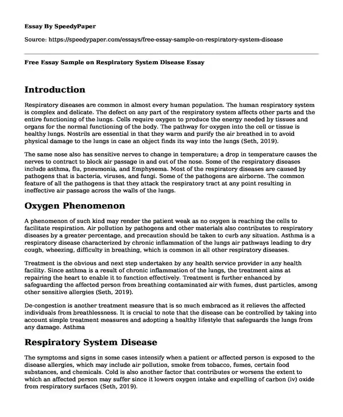 Free Essay Sample on Respiratory System Disease