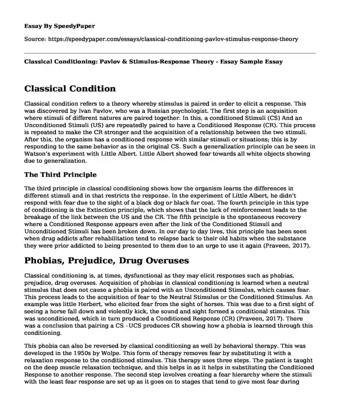 Classical Conditioning: Pavlov & Stimulus-Response Theory - Essay Sample