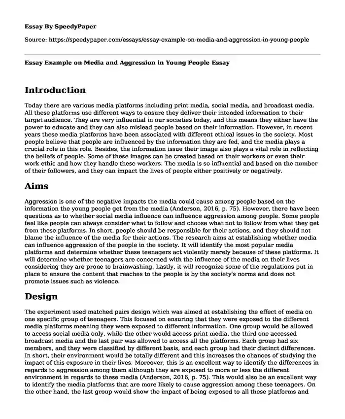 Essay Example on Media and Aggression in Young People