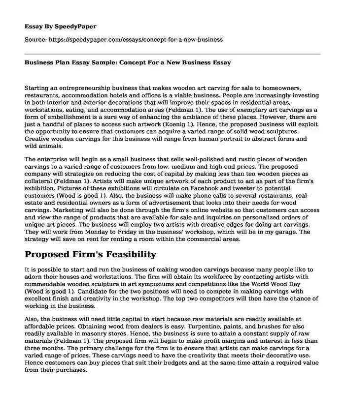 Business Plan Essay Sample: Concept For a New Business