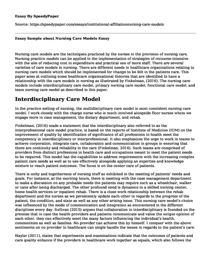 Essay Sample about Nursing Care Models