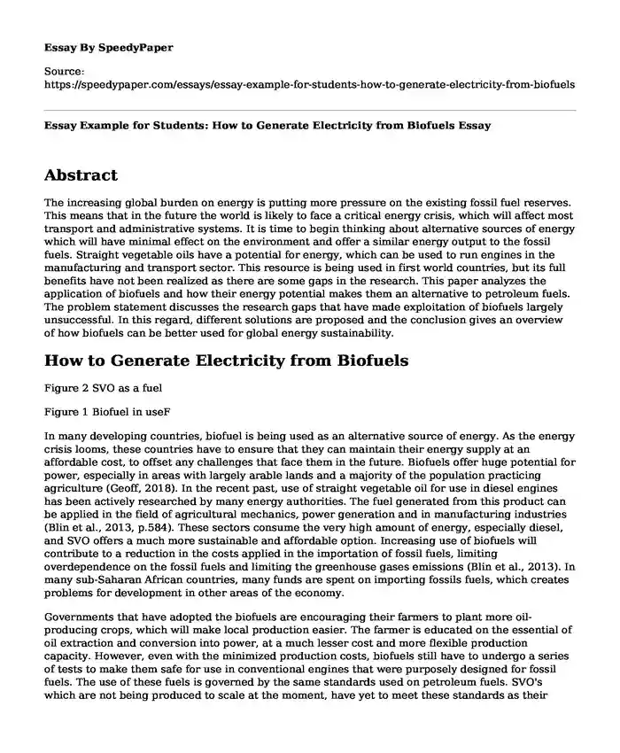 Essay Example for Students: How to Generate Electricity from Biofuels