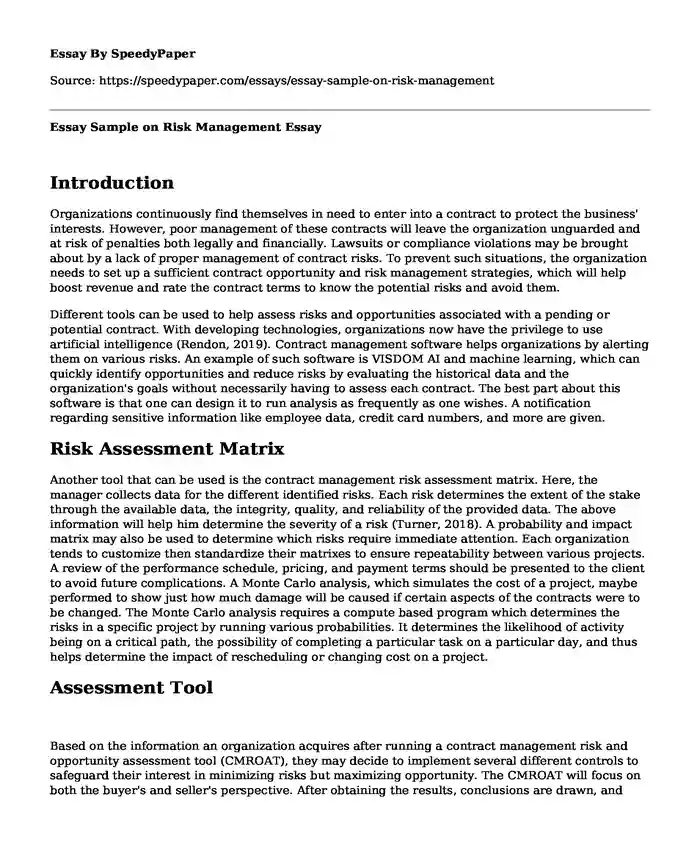 Essay Sample on Risk Management