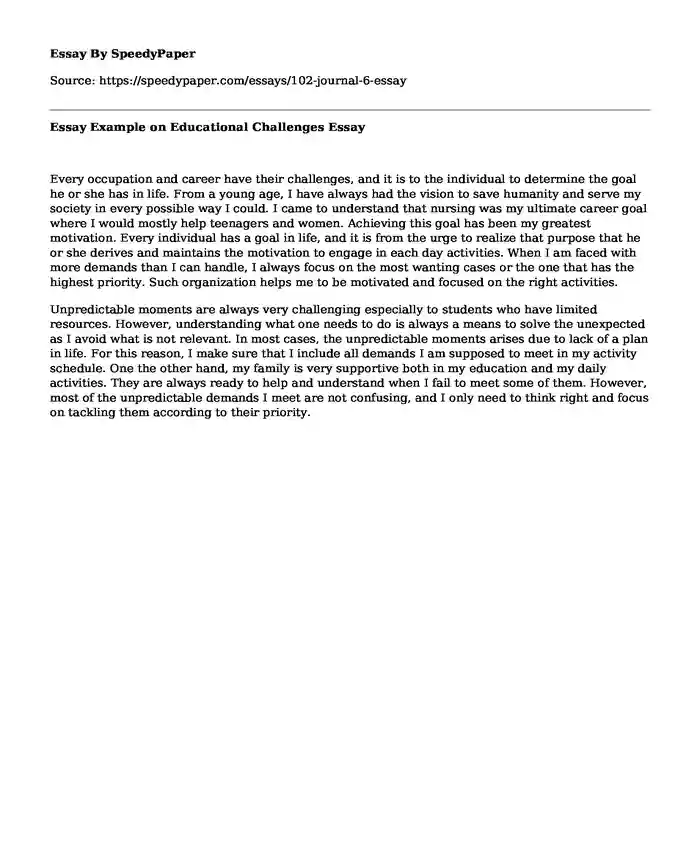 Essay Example on Educational Challenges