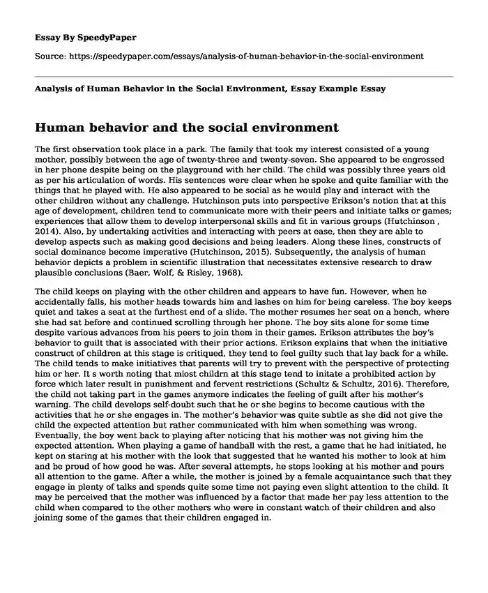 Analysis of Human Behavior in the Social Environment, Essay Example