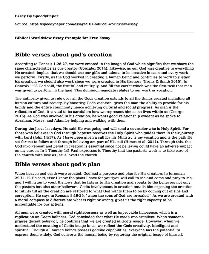 Biblical Worldview Essay Example for Free