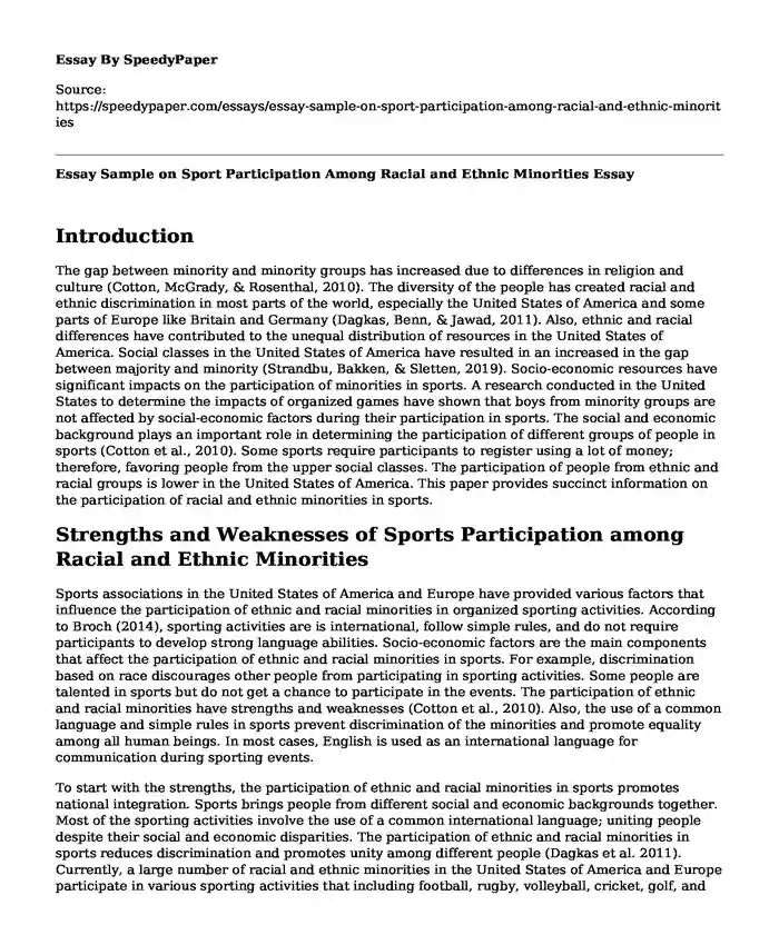 Essay Sample on Sport Participation Among Racial and Ethnic Minorities