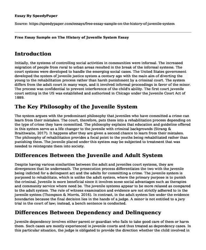 Free Essay Sample on The History of Juvenile System