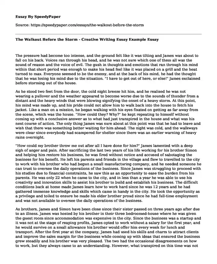 The Walkout Before the Storm - Creative Writing Essay Example