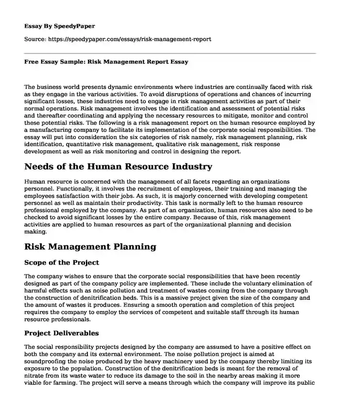 Free Essay Sample: Risk Management Report