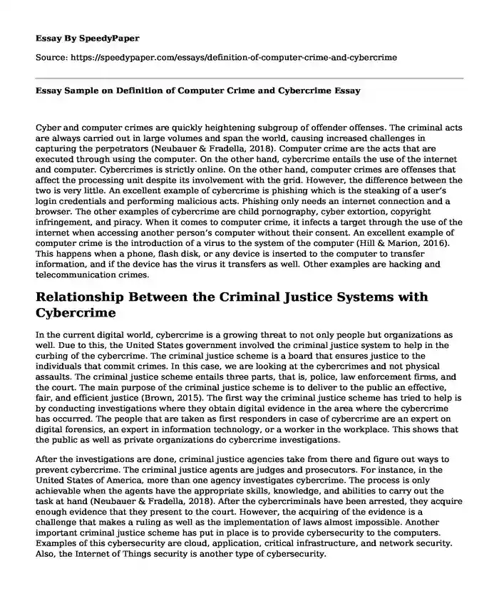 Essay Sample on Definition of Computer Crime and Cybercrime