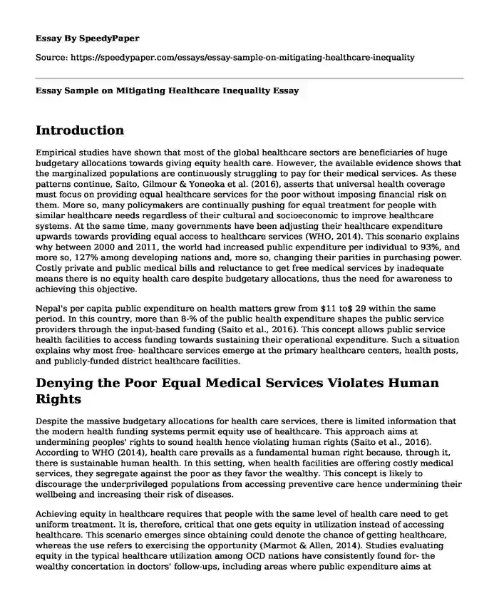 Essay Sample on Mitigating Healthcare Inequality