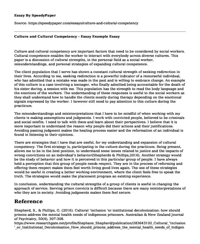 Culture and Cultural Competency - Essay Example