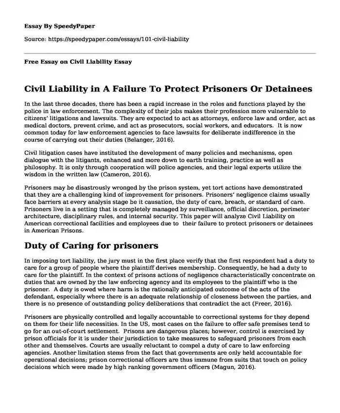 Free Essay on Civil Liability 