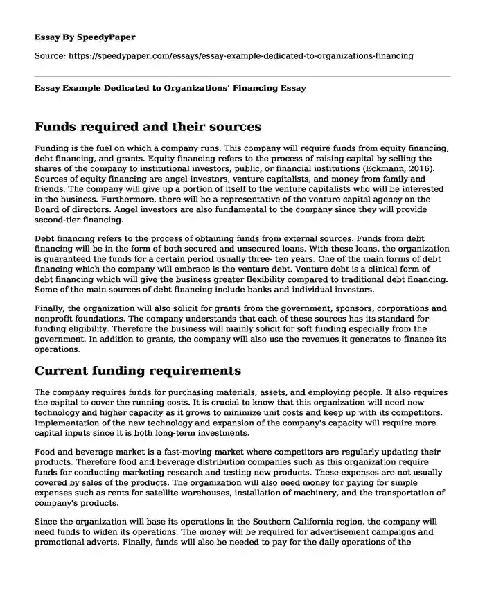 Essay Example Dedicated to Organizations' Financing