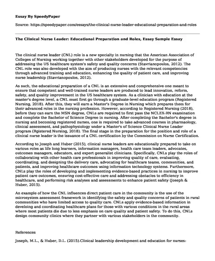 The Clinical Nurse Leader: Educational Preparation and Roles, Essay Sample