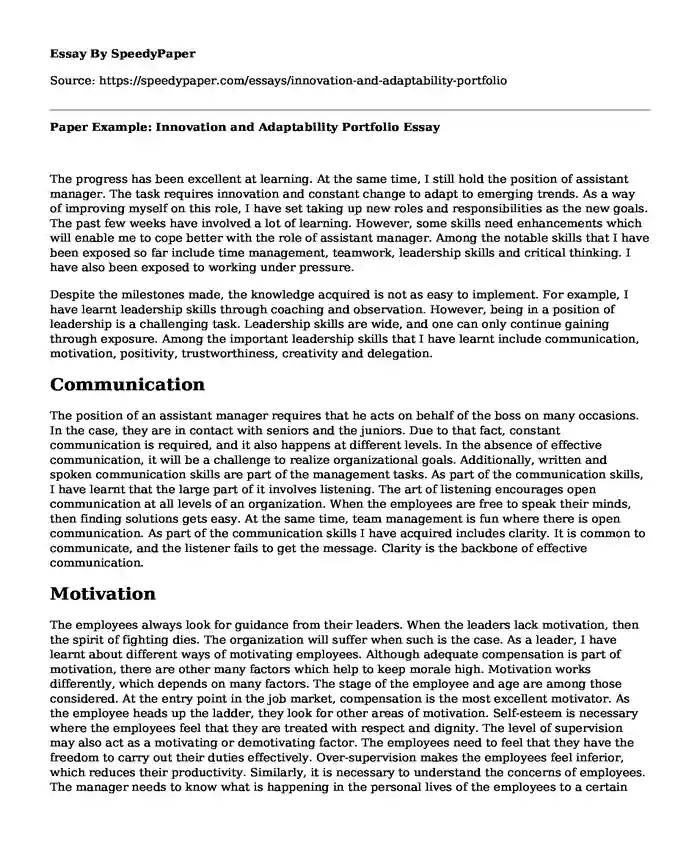 Paper Example: Innovation and Adaptability Portfolio