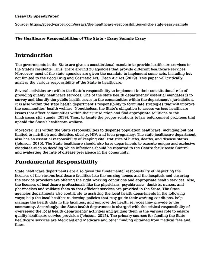 The Healthcare Responsibilities of The State - Essay Sample