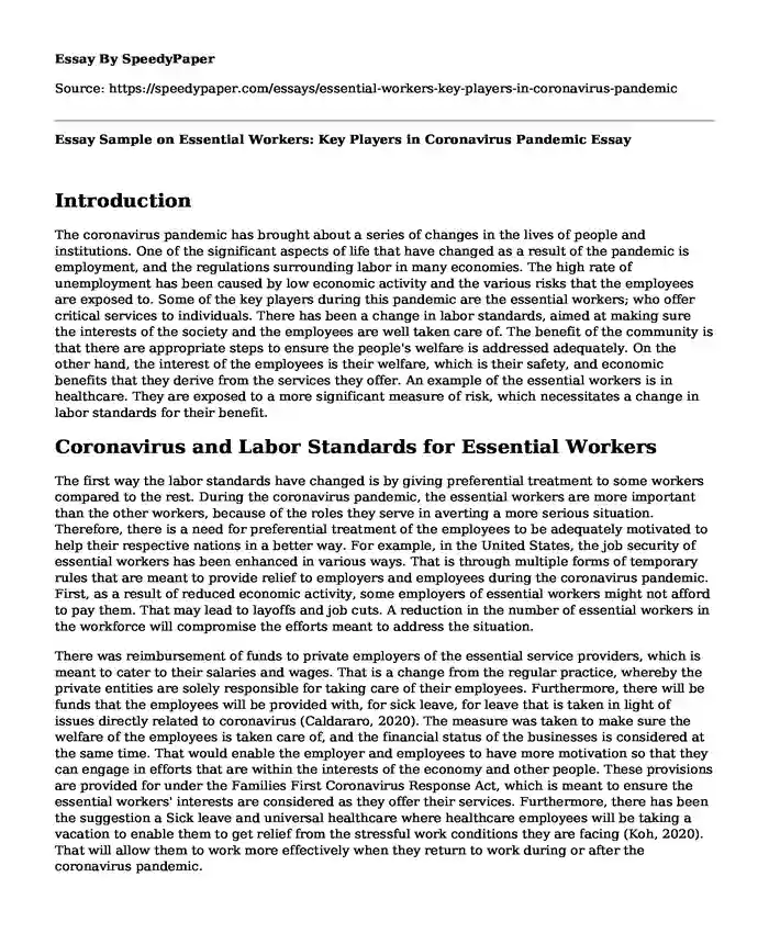Essay Sample on Essential Workers: Key Players in Coronavirus Pandemic