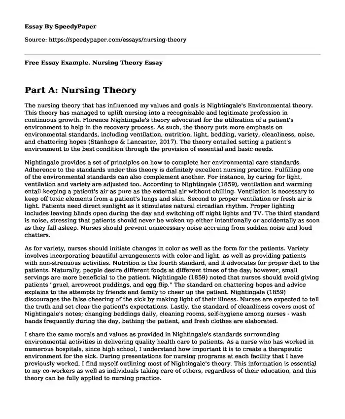 Free Essay Example. Nursing Theory