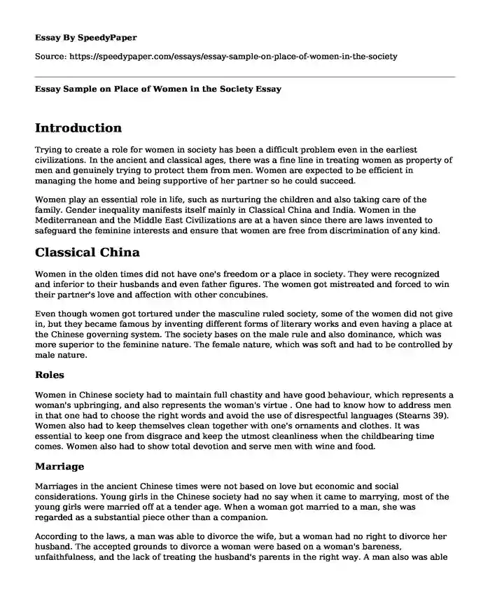 Essay Sample on Place of Women in the Society