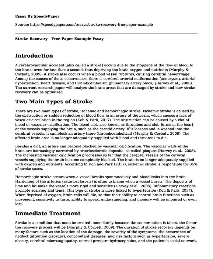 Stroke Recovery - Free Paper Example