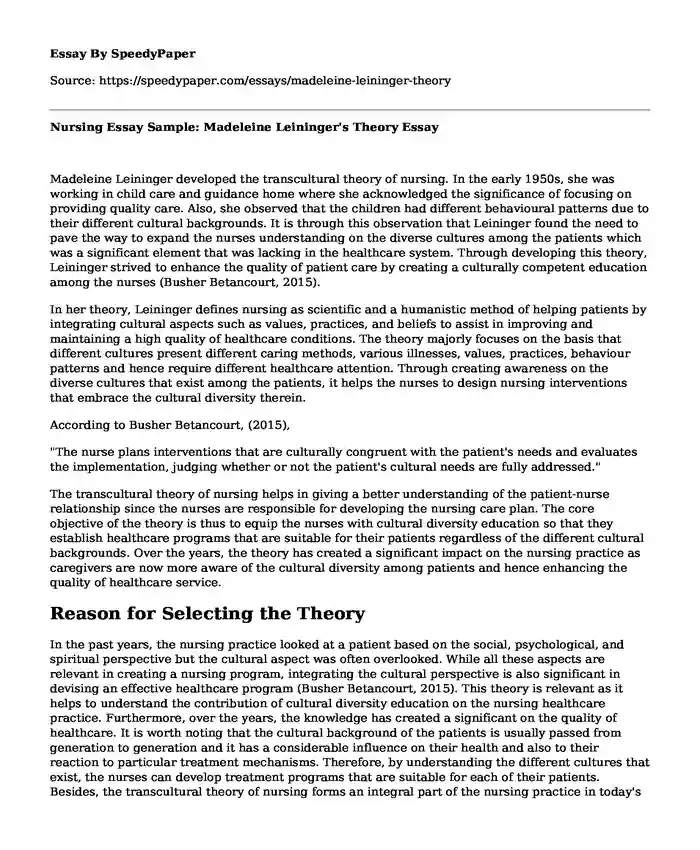 Nursing Essay Sample: Madeleine Leininger's Theory