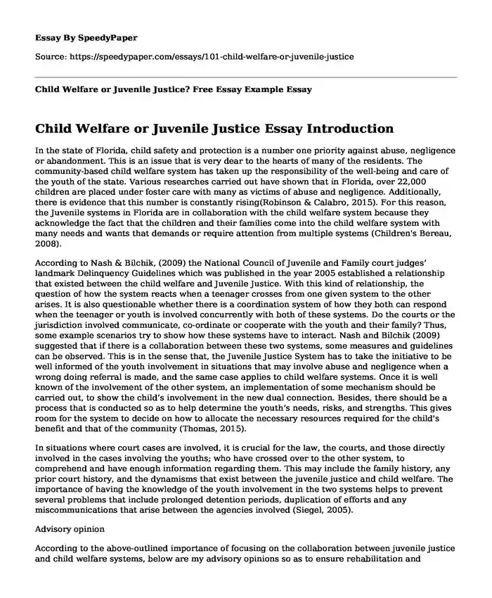 Child Welfare or Juvenile Justice? Free Essay Example
