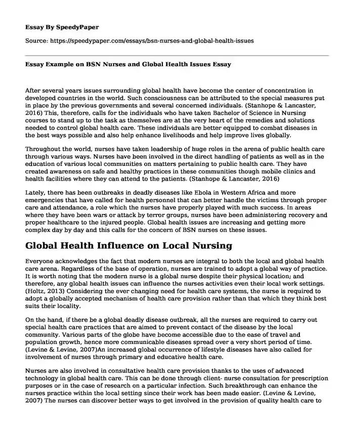 Essay Example on BSN Nurses and Global Health Issues