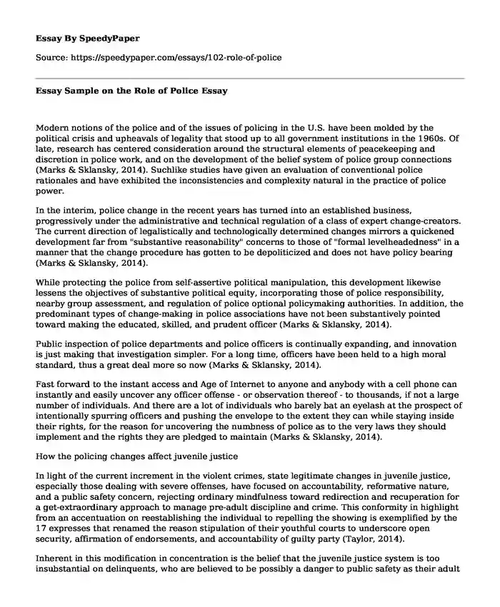 Essay Sample on the Role of Police
