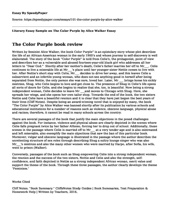 the color purple book review essay