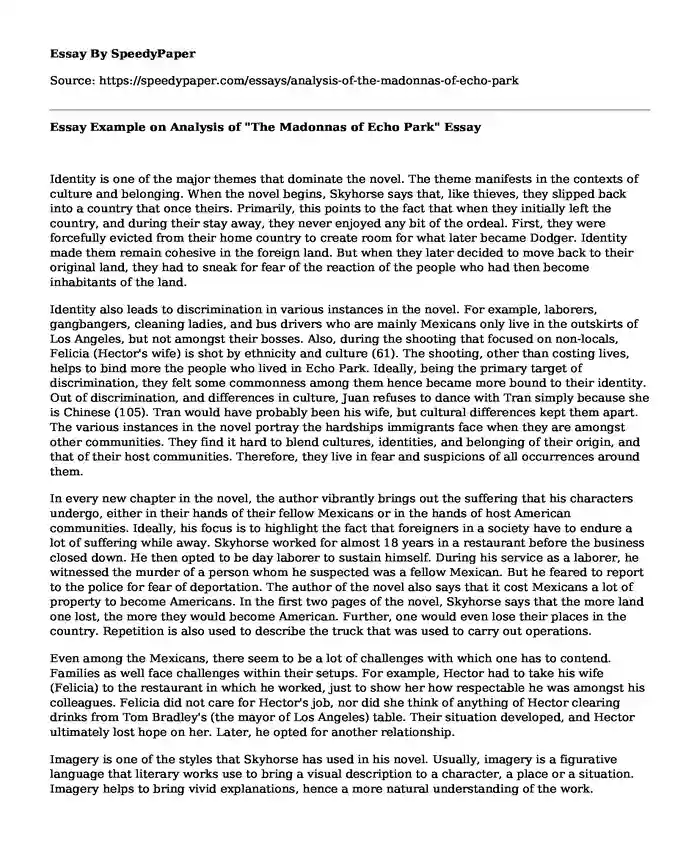 Essay Example on Analysis of "The Madonnas of Echo Park"