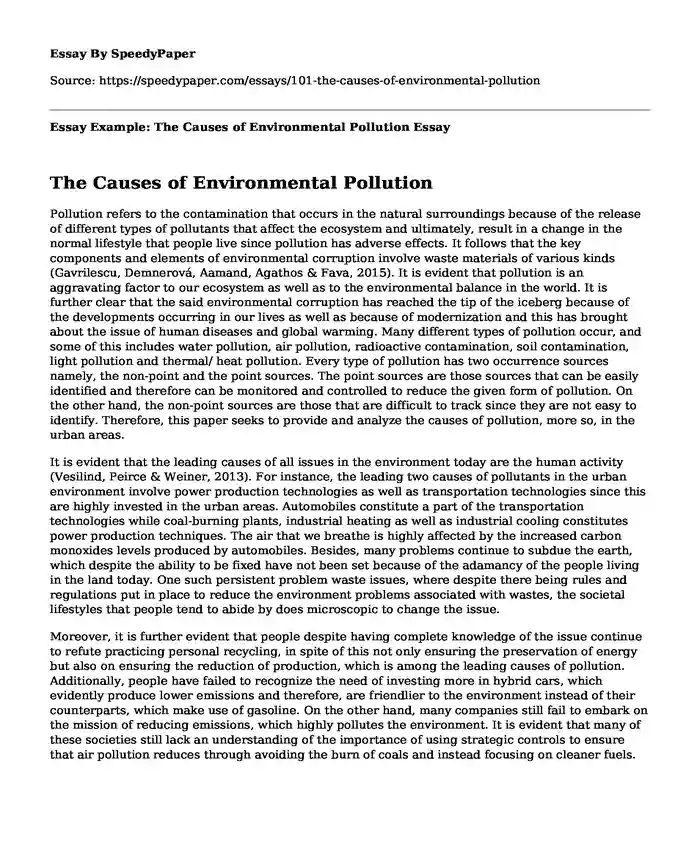 Essay Example: The Causes of Environmental Pollution