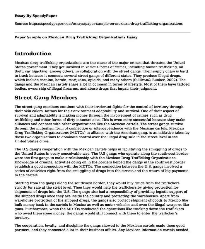 Paper Sample on Mexican Drug Trafficking Organizations