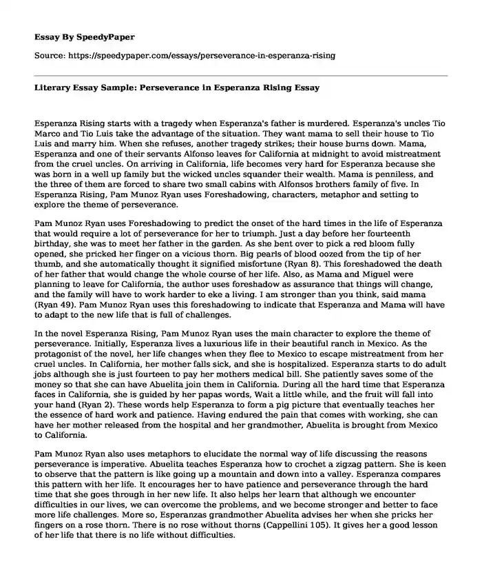 Literary Essay Sample: Perseverance in Esperanza Rising