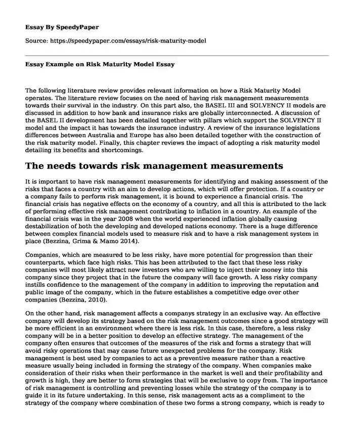  Essay Example on Risk Maturity Model