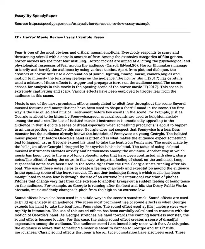 IT - Horror Movie Review Essay Example