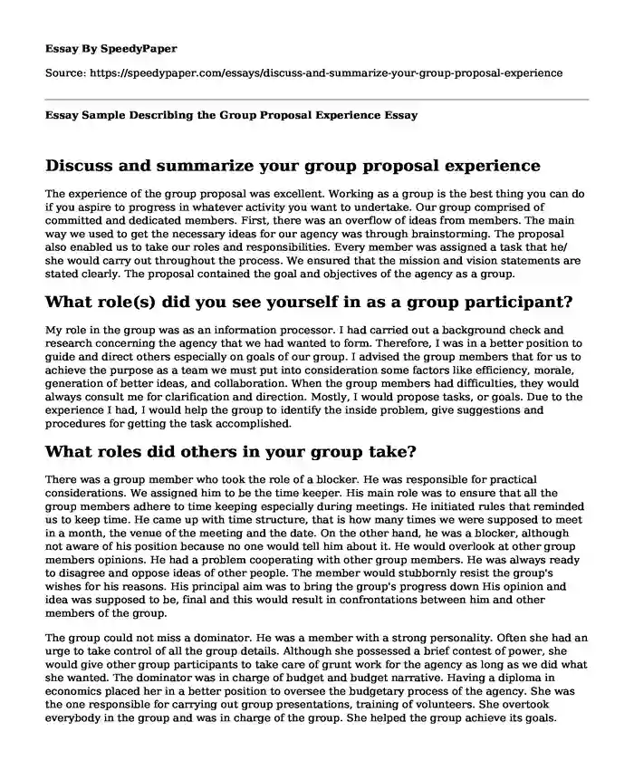 Essay Sample Describing the Group Proposal Experience