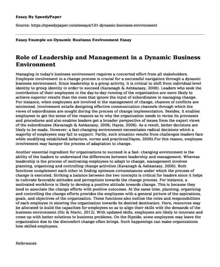 Essay Example on Dynamic Business Environment