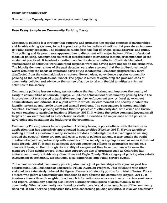 Free Essay Sample on Community Policing